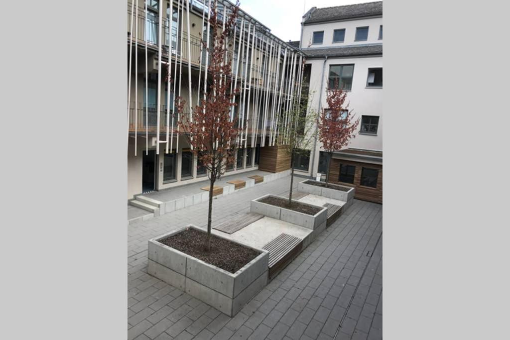 Central, Modern, Mit Grossem Balkon Checkin123 Wiesbaden Eksteriør billede